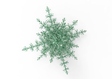 yeşil yapraklı ağaç izole arka plan