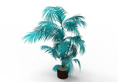 yeşil yapraklı ağaç izole arka plan