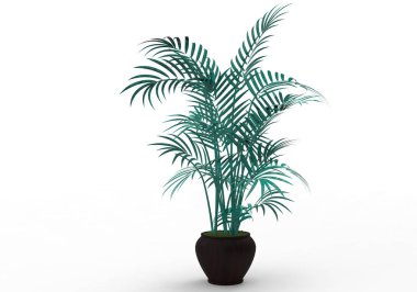 yeşil yapraklı ağaç izole arka plan