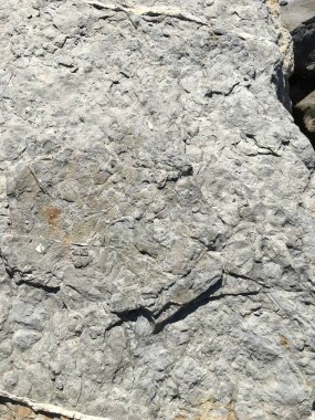 arka plan olarak rock yüzey dokusu