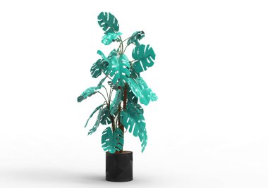 yeşil yapraklı ağaç izole arka plan