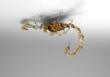 akrep 3d ayrı tut moduyla arka plan