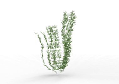 Bush 3d ayrı tut moduyla arka plan