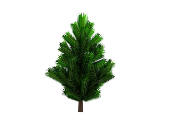 Grün Belaubten Baum Isolieren Hintergrund — Stockfoto