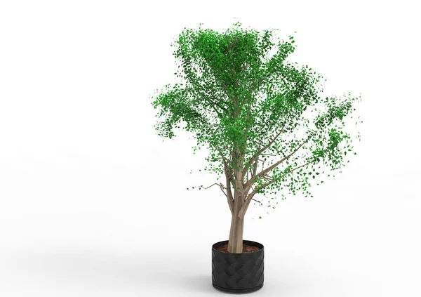 Verde Árbol Frondoso Aislar Fondo — Foto de Stock