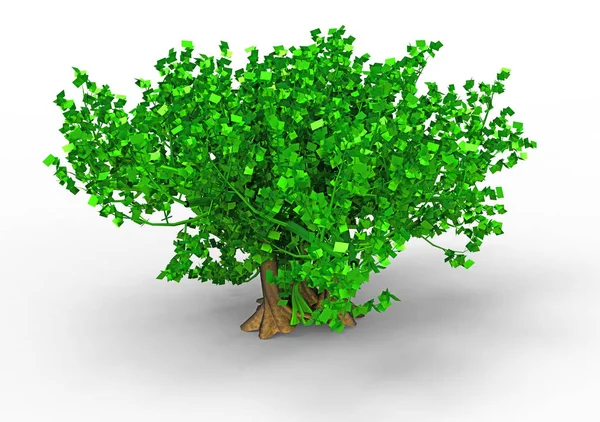 Verde Árbol Frondoso Aislar Fondo — Foto de Stock