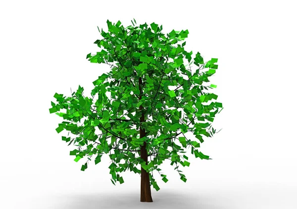 Verde Árbol Frondoso Aislar Fondo — Foto de Stock