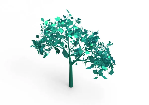 Yeşil Yapraklı Ağaç Izole Arka Plan — Stok fotoğraf