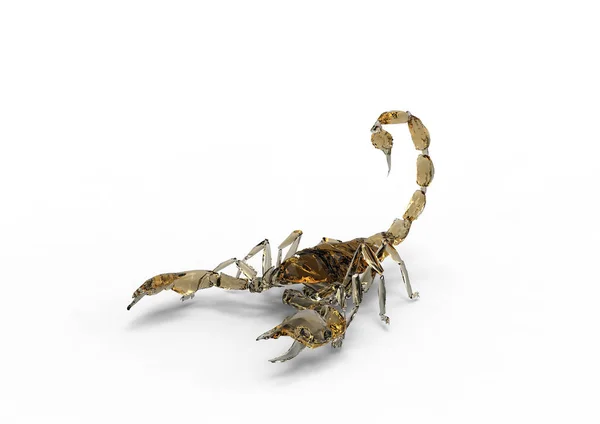 Scorpion Isolate Background — Stock Photo, Image