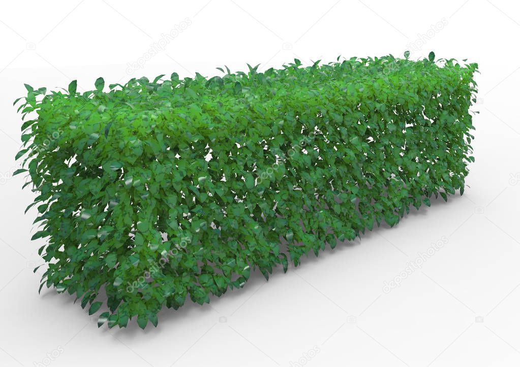 bush 3D isolate background