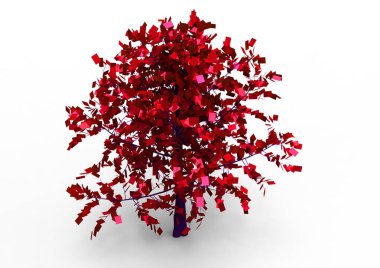 yeşil yapraklı ağaç izole arka plan