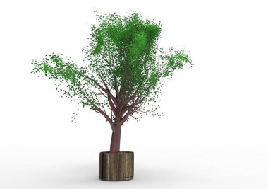 yeşil yapraklı ağaç izole arka plan