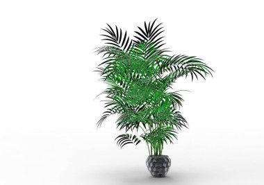 yeşil yapraklı ağaç izole arka plan