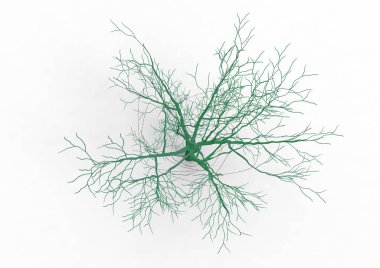 yeşil yapraklı ağaç izole arka plan