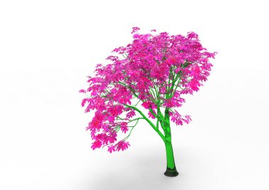 yeşil yapraklı ağaç izole arka plan