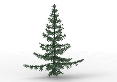 yeşil yapraklı ağaç izole arka plan