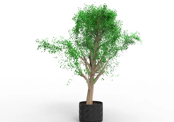 Gröna Lummiga Träd Isolera Bakgrund — Stockfoto
