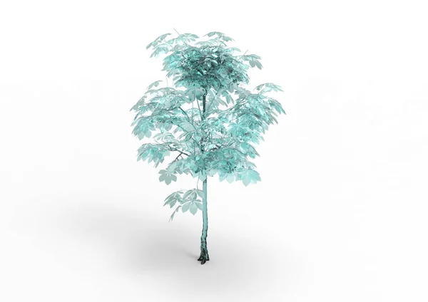 Albero Verde Foglia Isolare Sfondo — Foto Stock