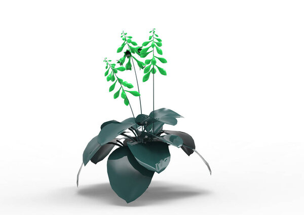 зеленые листья дерева изолировать фон
