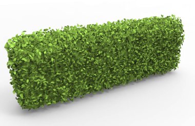 Bush 3d ayrı tut moduyla arka plan