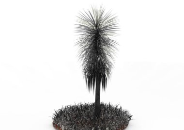 yeşil yapraklı ağaç izole arka plan