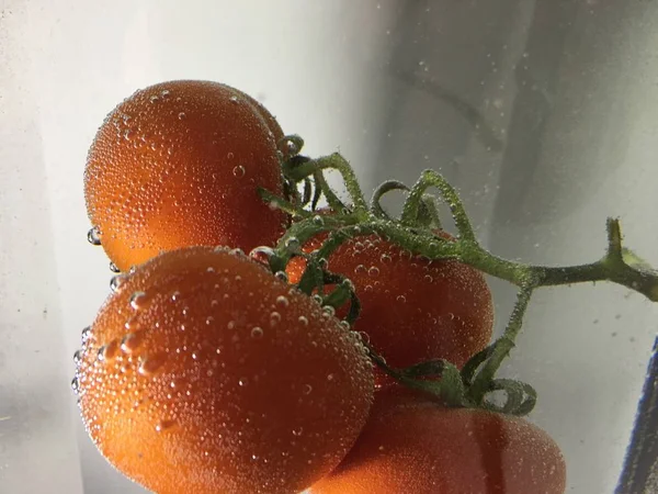 Close Fundo Isolado Tomate — Fotografia de Stock