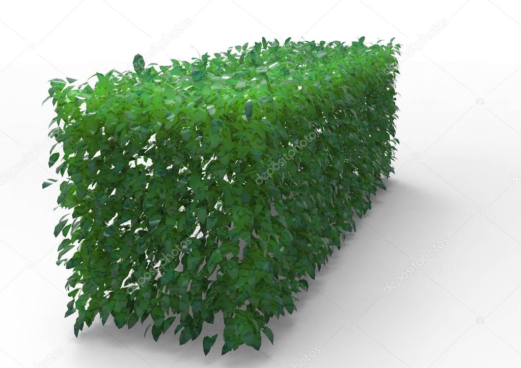 bush 3D isolate background