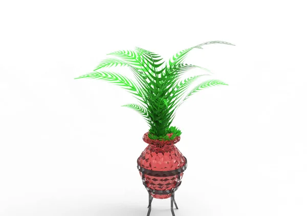 Palm Elkülönítése Háttér — Stock Fotó