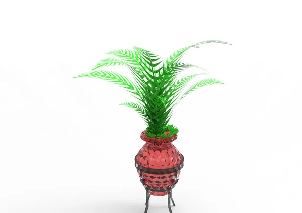 Palm Isolate Background — Stock Photo, Image