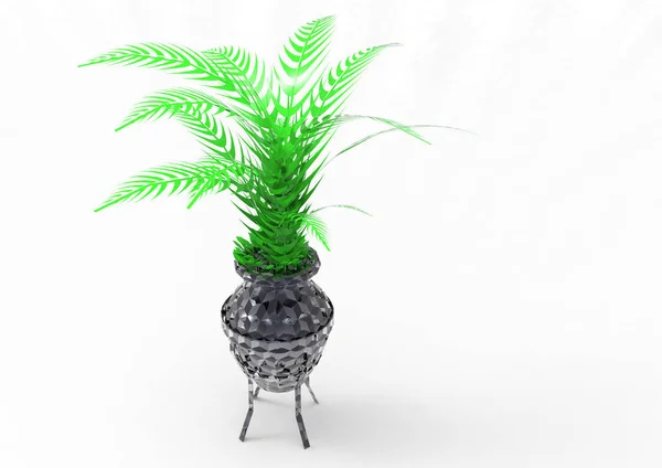 Palm Izolat Tło — Zdjęcie stockowe