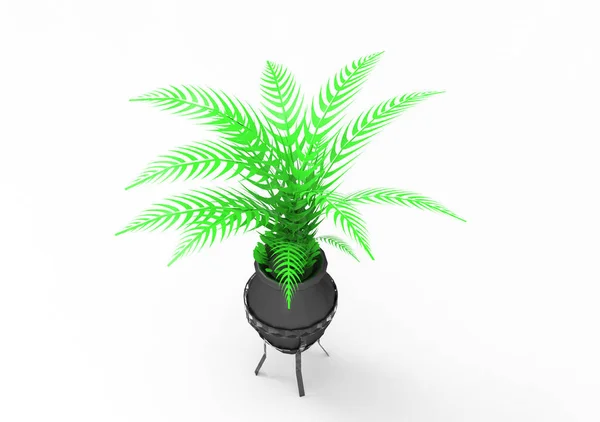 Palm Isoleren Achtergrond — Stockfoto