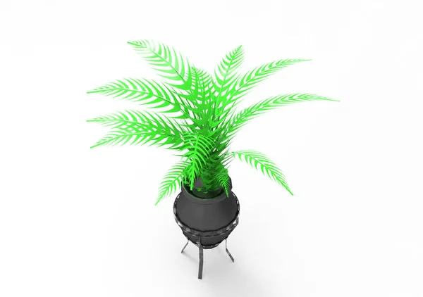 Palm Isoleren Achtergrond — Stockfoto