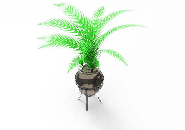 Palm Isolera Bakgrund — Stockfoto