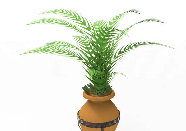 Palm Isoleren Achtergrond — Stockfoto