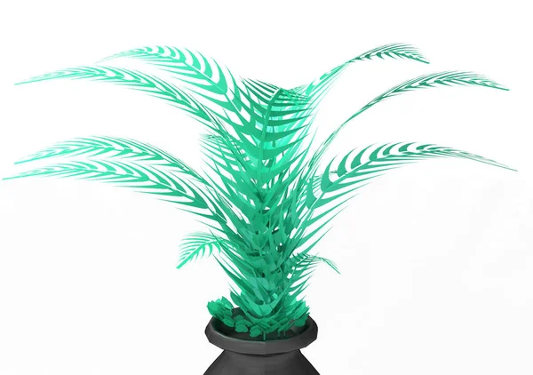 Palm Isolate Background — Stock Photo, Image