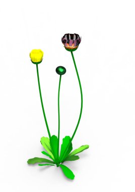 vazo çiçekleri 3d ayrı tut moduyla arka plan