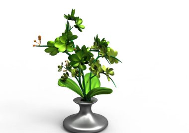 vazo çiçekleri 3d ayrı tut moduyla arka plan