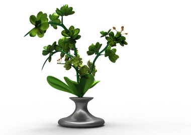 vazo çiçekleri 3d ayrı tut moduyla arka plan