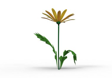 vazo çiçekleri 3d ayrı tut moduyla arka plan