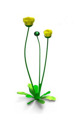 vazo çiçekleri 3d ayrı tut moduyla arka plan