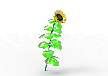 vazo çiçekleri 3d ayrı tut moduyla arka plan