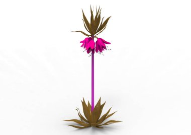 vazo çiçekleri 3d ayrı tut moduyla arka plan