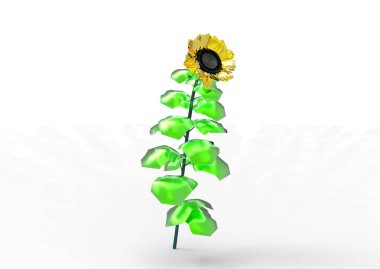 vazo çiçekleri 3d ayrı tut moduyla arka plan