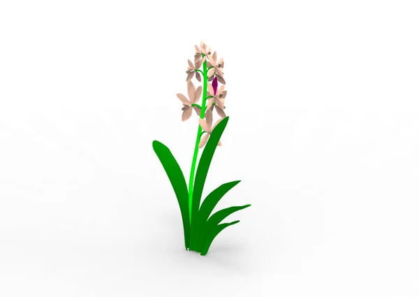 Váza Virág Elkülönítése Háttér — Stock Fotó