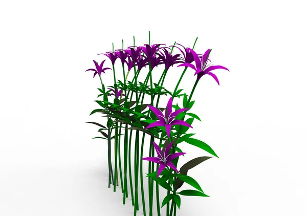 Váza Květiny Izolovat Pozadí — Stock fotografie