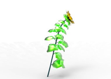 vazo çiçekleri 3d ayrı tut moduyla arka plan