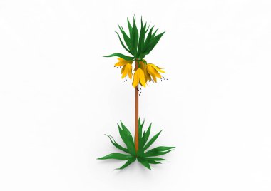 vazo çiçekleri 3d ayrı tut moduyla arka plan