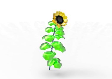 vazo çiçekleri 3d ayrı tut moduyla arka plan