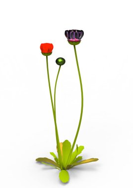 vazo çiçekleri 3d ayrı tut moduyla arka plan