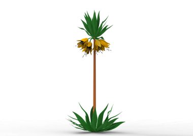 vazo çiçekleri 3d ayrı tut moduyla arka plan